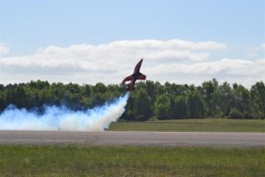 Blackbushe2015 106 (Large)