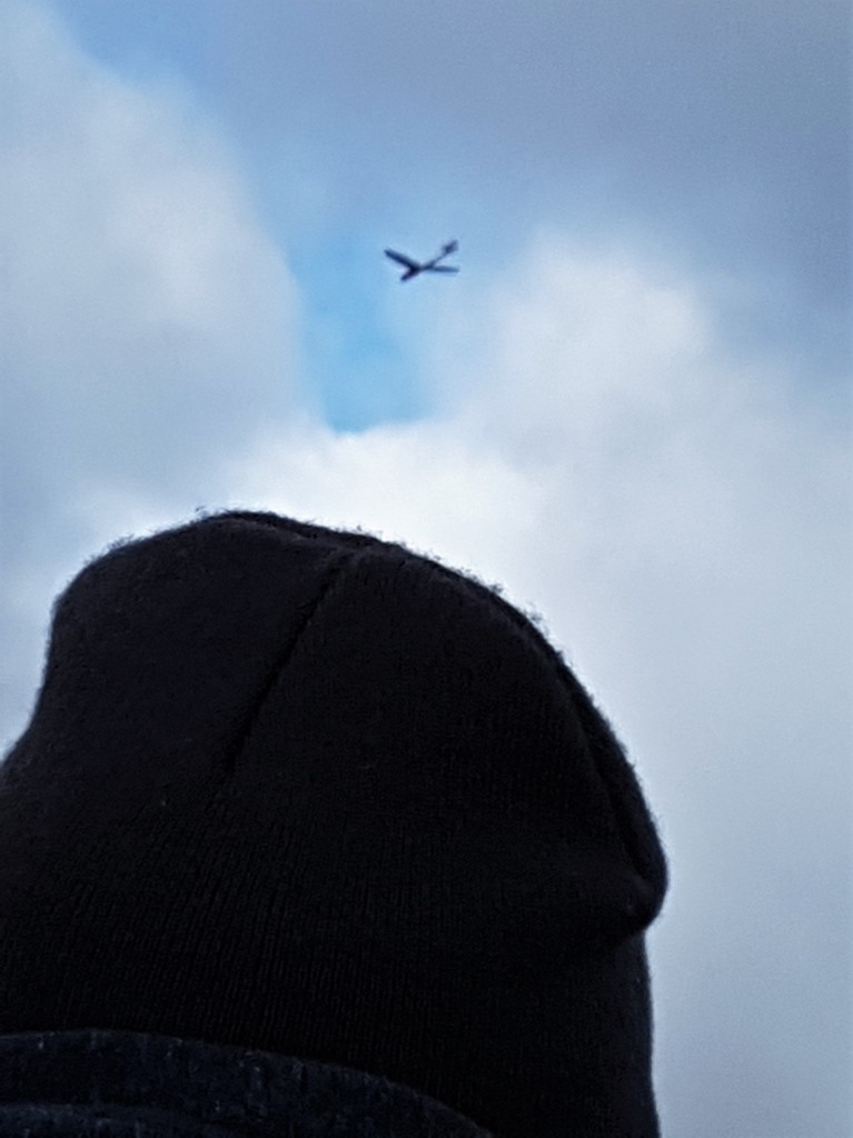 2018-02-09 10.40.23-1